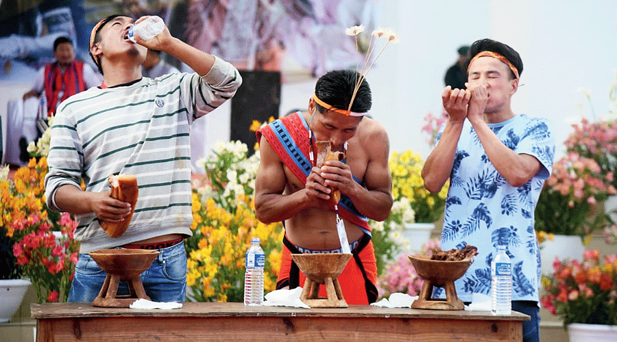siroi festival 2022